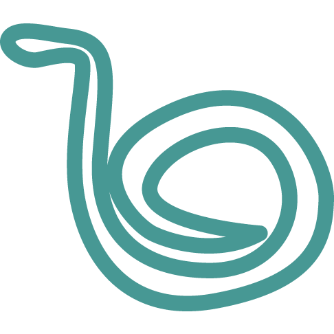 Snakes