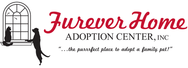 Furever Home