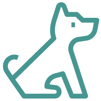Puppy Classes