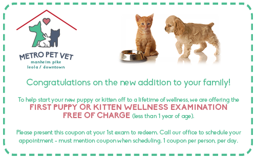 Puppy Coupon