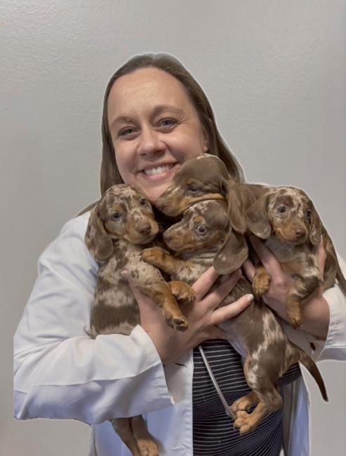 Dr. Tomlinson, Metro Pet Vet, Manheim Pike, Leola, PA