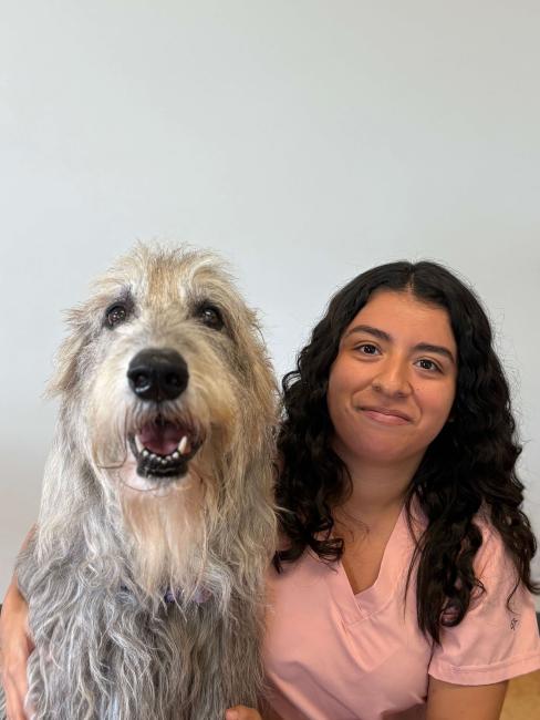Metro Pet Vet Veterinary Assistant - Manheim Pike, PA