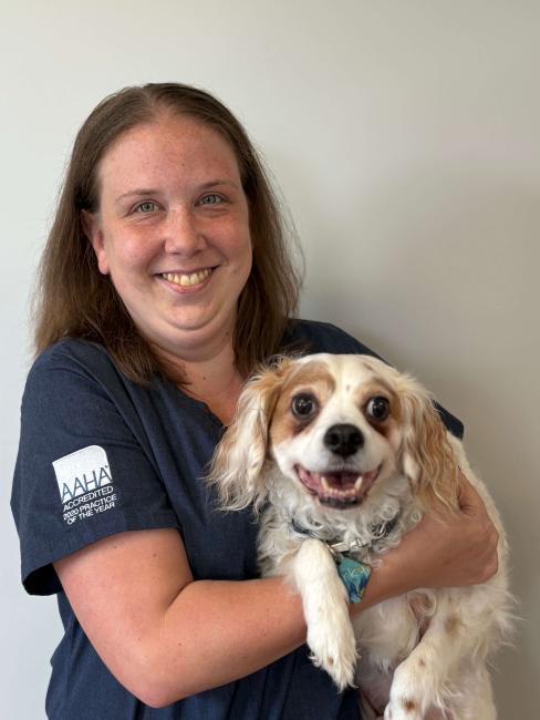 Tara, CSR, Metro Pet Vet, Manheim Pike, PA