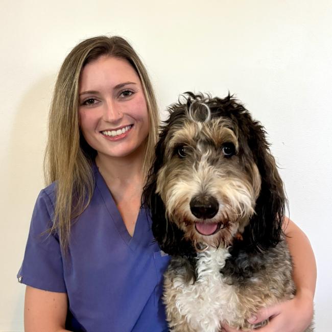 Dr. Alexa Olree - Veterinarian at Metro Pet Vet